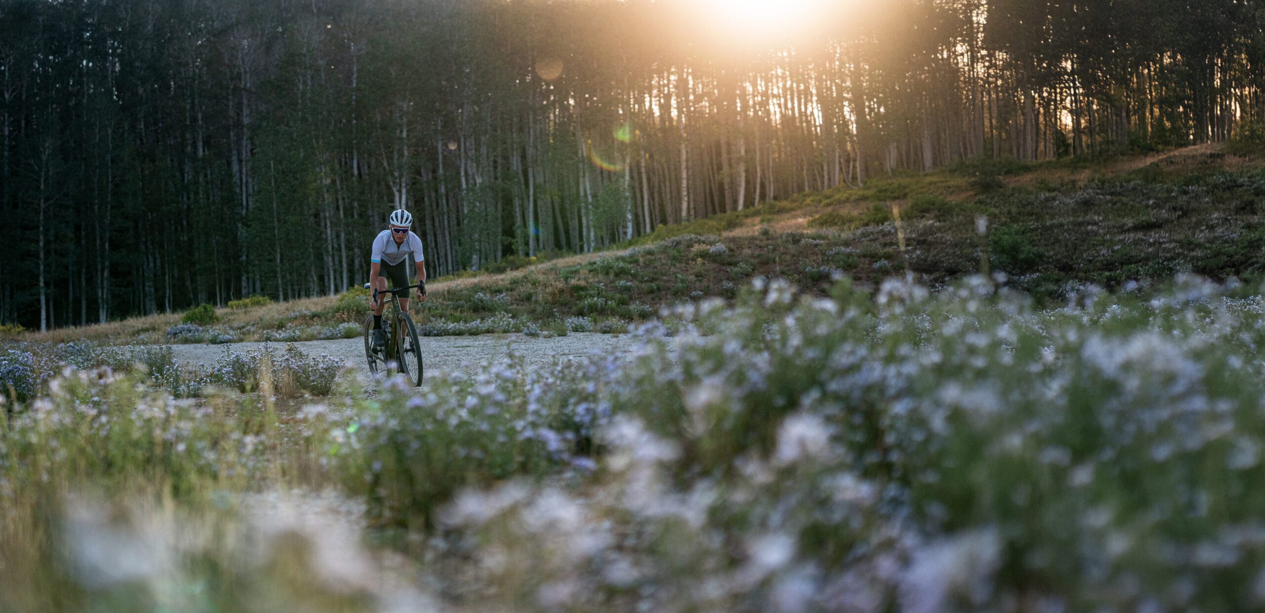 Biker riding at sunrise