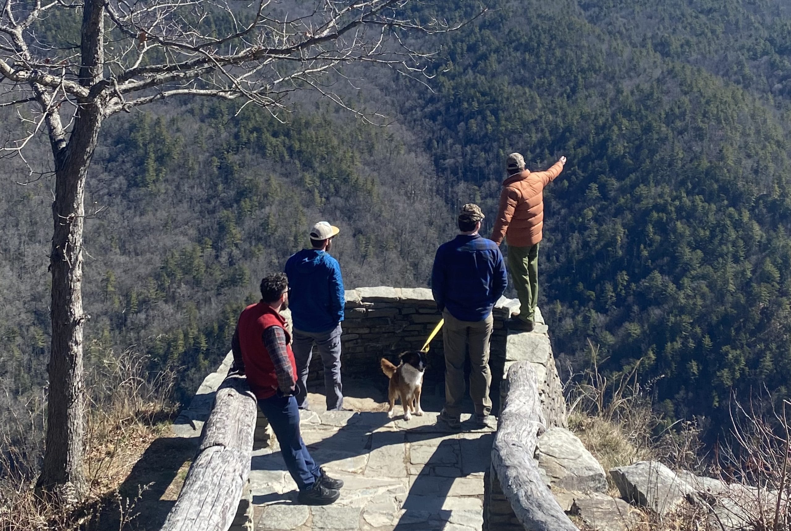 Guided hike